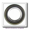 Recessed end cap K399074-90010 Backing ring K147766-90010        AP servicio de cojinetes de rodillos #1 small image